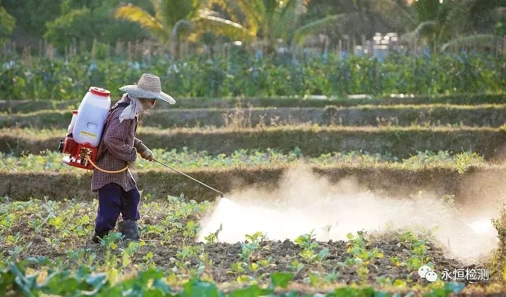 1541812981990118.jpg 1541812981990118.jpg